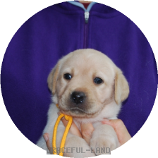女の子(オレンジ母マリー)